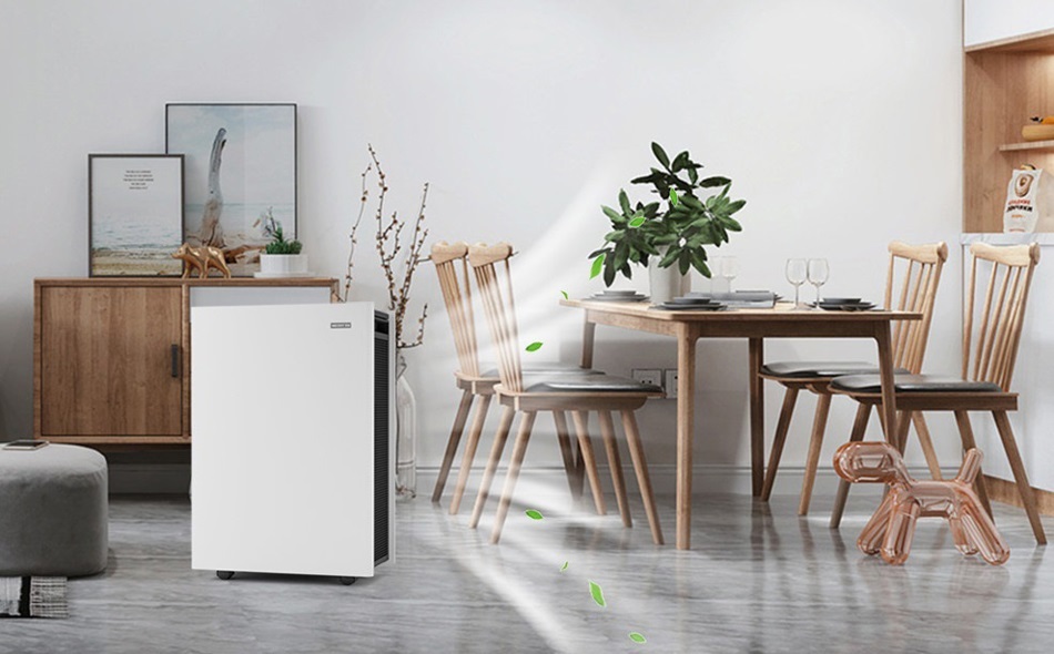 有过敏性哮喘？恒峰国际空气净化器来帮您！